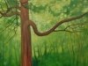 Enchanted Forest