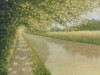 Summer Green