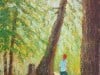 Wander in the Woods