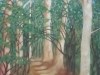 Eucalyptus Trail
