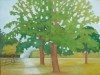 Summer Oaks