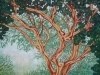 Tiger Bark