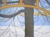 Winter Beech