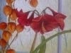 Amaryllis Windowscape