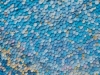 Popcorn-Sky-redo