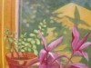 Windowsill Garden
