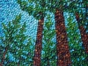 Forest-Dreams-