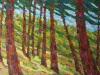 Into-the-Woods