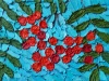 Mountain-Ash-2
