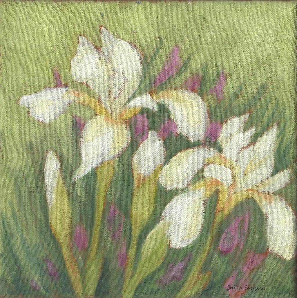 pale-yellow-irises