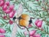 Bumblebee-in-the-Heather