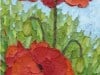 Oraneg-Poppies-1-Copy
