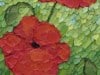 Orange-Poppies-2-Copy