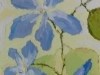 Periwinkle
