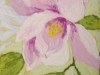Pink Magnolia