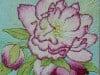 Splendour