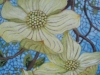 Dogwood Dance