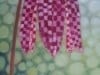 Fritillaria 2