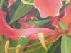 Gloriosa