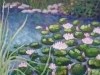 Kew Waterlilies