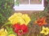 Spring Delight