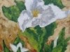 Trillium
