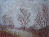 Misty-Trail