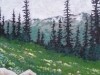 Alpine Fowers ~ Blackcomb