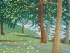 Dappled Lawn