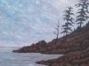 Rocky Coast