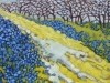 Spring on Mount Tolmie