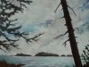 Ucluelet View 1