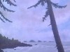 Looking Out on Barclay Sound - oil on canvas - 16