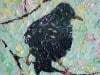 Starling Trio 2