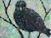 Starling Trio 3
