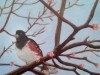 Early Spring
