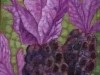 French Lavender