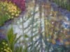 Pond Reflections