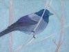 Winter Grackle