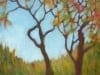 Afternoon Trees - Redo 8x8