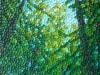 Forest-Haven-redo