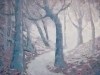 Mauve Light in the Forest