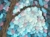 Mini Mosaic