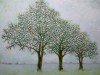 Misty Morning Ash