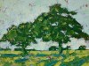 Summer Oaks