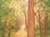 Sundrenched Woods