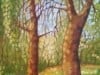 Sunspangled Woods