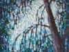 Symphony in Blue