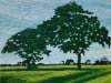 Verdant Oaks