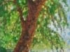 Woodland Mosaic